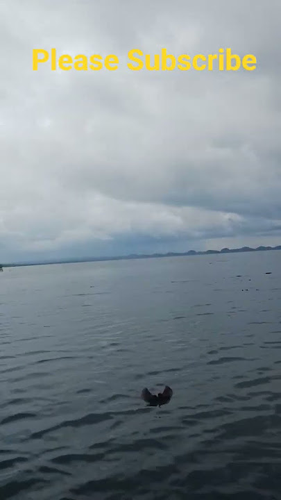 IKUTI KUALITAS!!