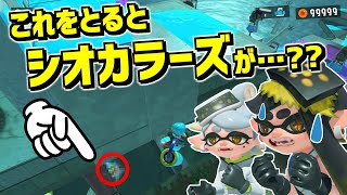 If you collect the hidden salmon roe, the Squid Sisters will exchange secret lines!? I looked int...
