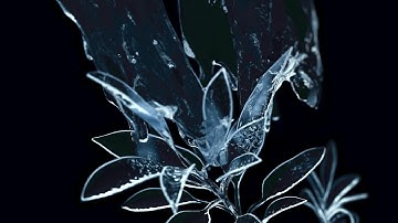 Durable Nature by Ars Thanea | ConceptD