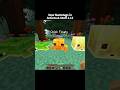 Minecraft: New Secret Nametags in Actions & Stuff 1.11