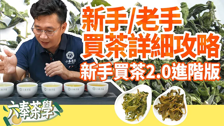 【六奉茶莊】新手老手都適用！買茶詳細攻略！新手買茶2.0進階版 - 天天要聞
