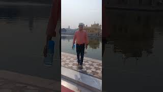 Rab Ne Bna Di Jodi love shorts