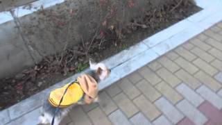 goneri 20150218 02