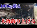 【大物】100kg越えのメカジキを釣り上げる!!連発で大漁!!