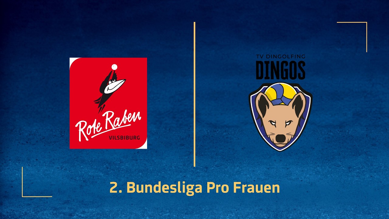 Rote Raben Vilsbiburg – TV Dingolfing (2. Volleyball Bundesliga Pro F 25/26)