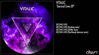 Vitalic - Second Lives (Lifelike Remix) chords