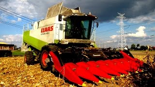 Kukurydza Na Ziarno Z Jurago Class Lexion 480