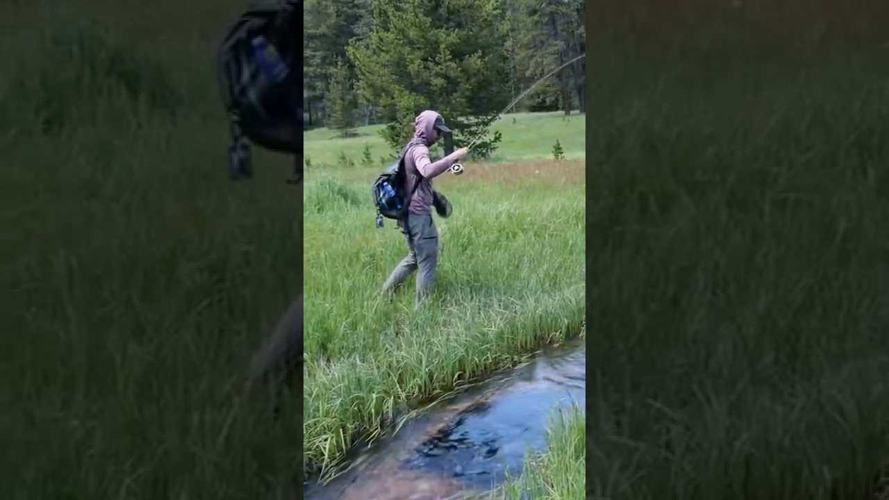 РЫБАЛКА ФОРЕЛИ В ПУТИ!! 