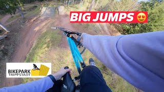 Mtb-Geheimspot? Bikepark Trippstadt Liefert Ab Der Trailhunter