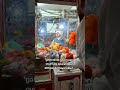 21 may 2026