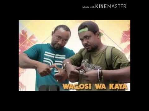 Wagosi Wa Kaya ____ Sifa za kijinga