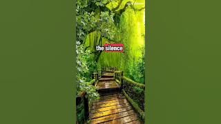 SWEET MEMORIES - ANDY WILLIAM (lyric)