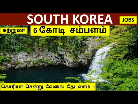 6 கோடி சம்பளத்தில் தென் கொரியா வேலை|South Korea jobs in tamil|Foreign Jobs in tamil|South Korea tour