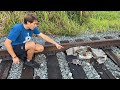 NEWBORN KITTENS FOUND ABANDONED ON TRAIN-TRACKS ! WHAT HAPPENS ?!