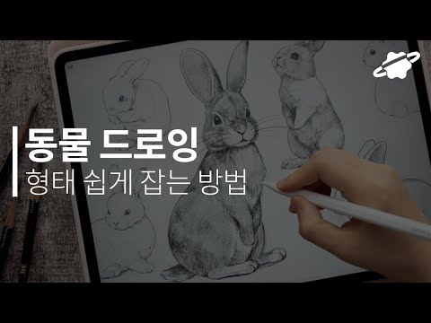 동물 드로잉 토끼편✏ 형태 잡는 방법부터 세부묘사까지