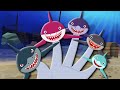 Finger Family | Shark Finger Family | Sharks | Kids Songs | Finger Family Nursery Rhymes