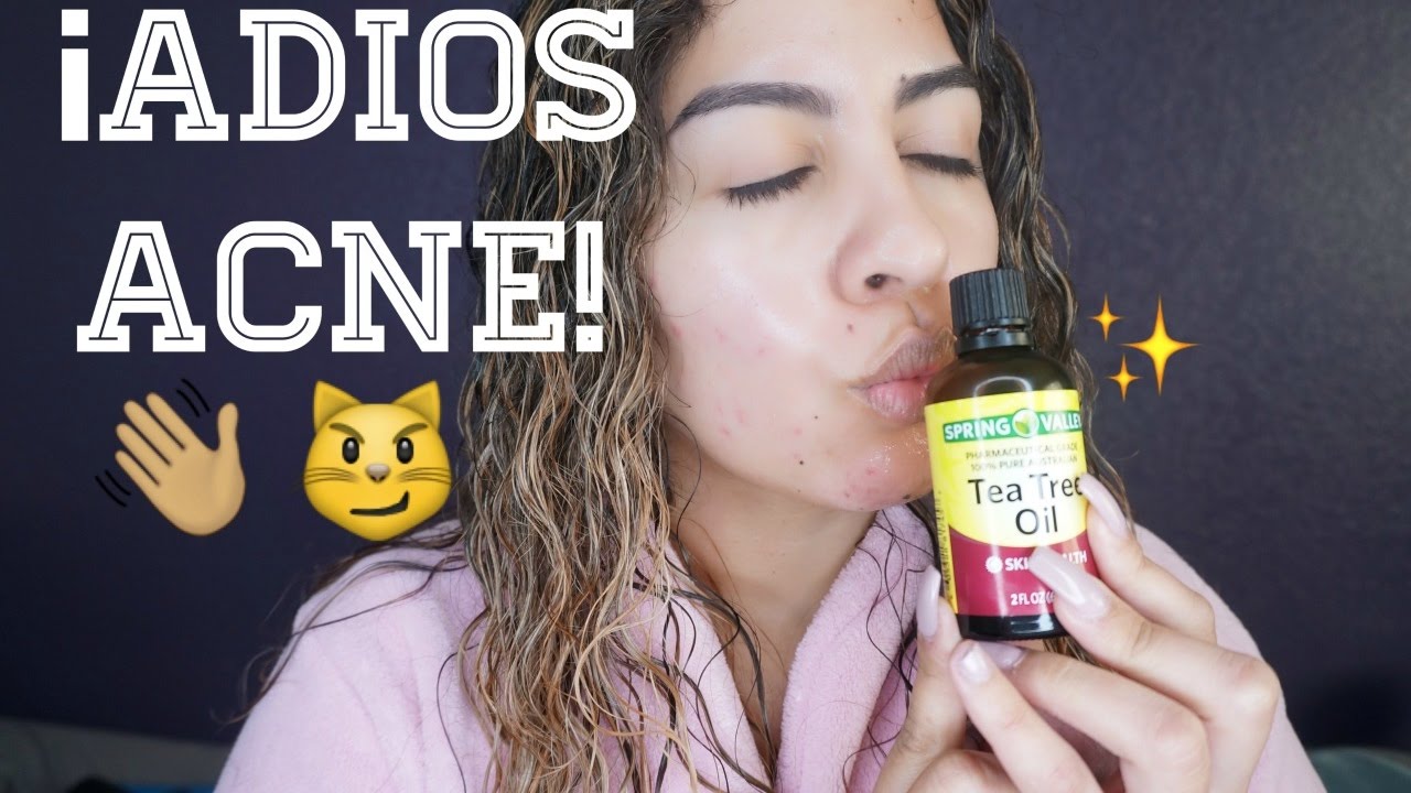 aceite del arbol del te granos
