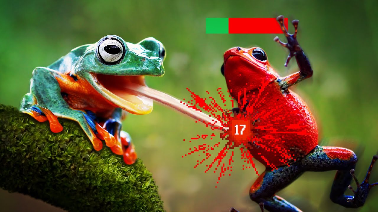 The Frog Tier List