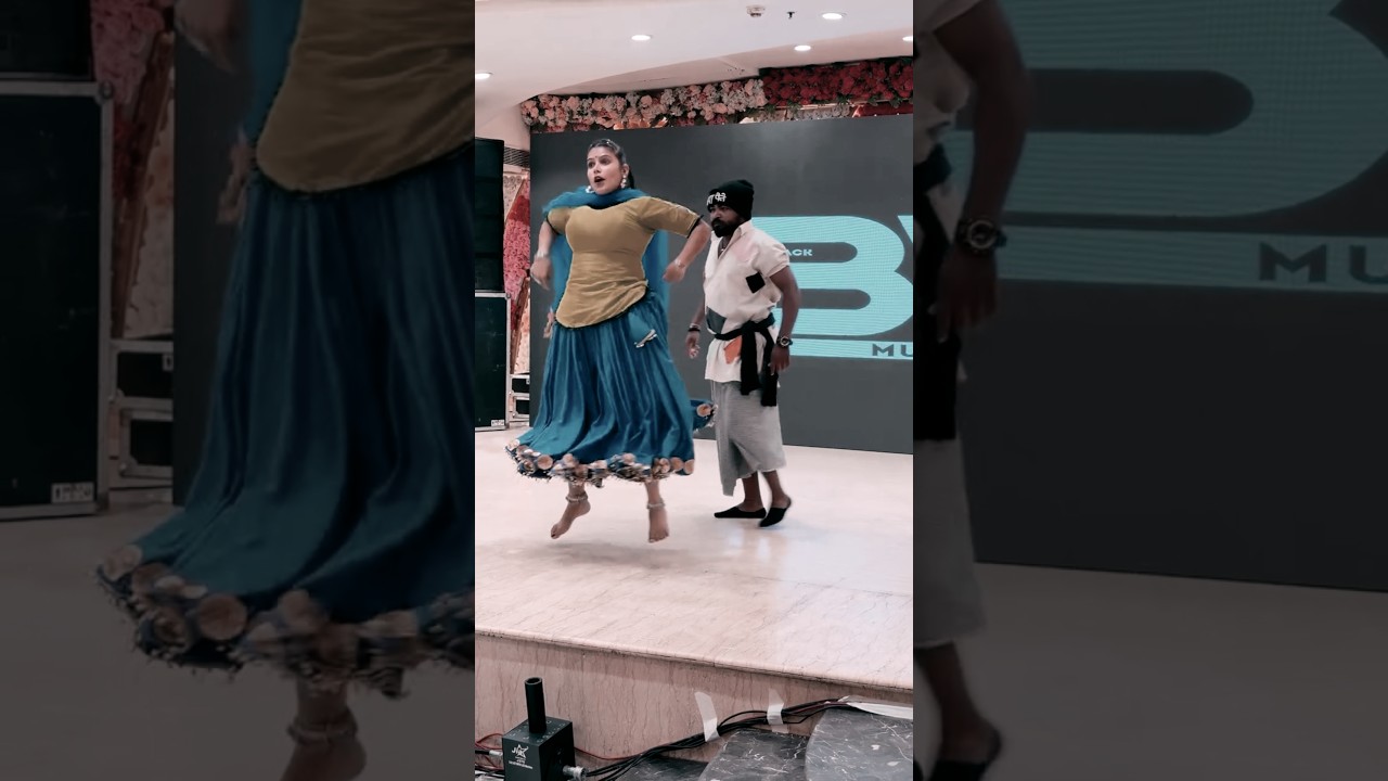 Thermameter | AK Changia And Amishapoonia 