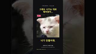 [1편] AI가 시키는 대로 살려다가 AI한테 다 시킴ㅋㅋ #shorts