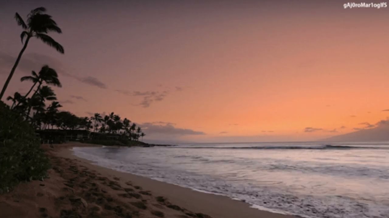 DJ Knowledge - The Wave Type Instrumental