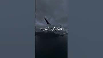 #تلاوات #اكسبلور #تلاوة_خاشعة #راحة_نفسية #القرآن_الكريم #تلاوات_خاشعة #تلاوة_هادئة #قرآن #القرآن