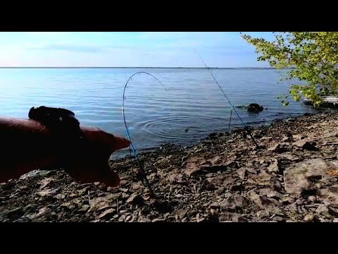 THE END OF THE FISHING TRIP WAS ABSOLUTELY INSANE‼️‼️ carp fishing