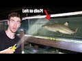 BREAKING INTO ABANDONED AQUARIUM! (LIVE SHARK FOUND!) 😱