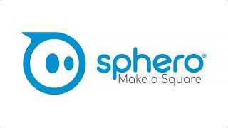 Famous Sphero: Square Net Worth