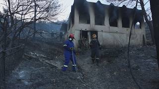 Πυροσβέστες και εθελοντές συμμετείχαν στην κατάσβεση πυρκαγιάς στα Περιστέρια Σαλαμίνας