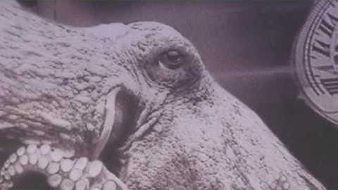 RDWorks Learning Lab 140 I Forgot to Focus on the ELEPHANT in the ROOM Re rendered