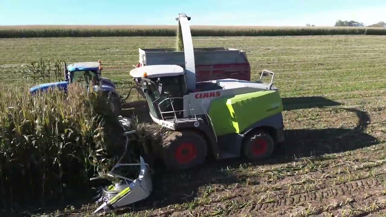 siláže kukuřice🌽☀️🌪  claas jaguar 940🟢🔴