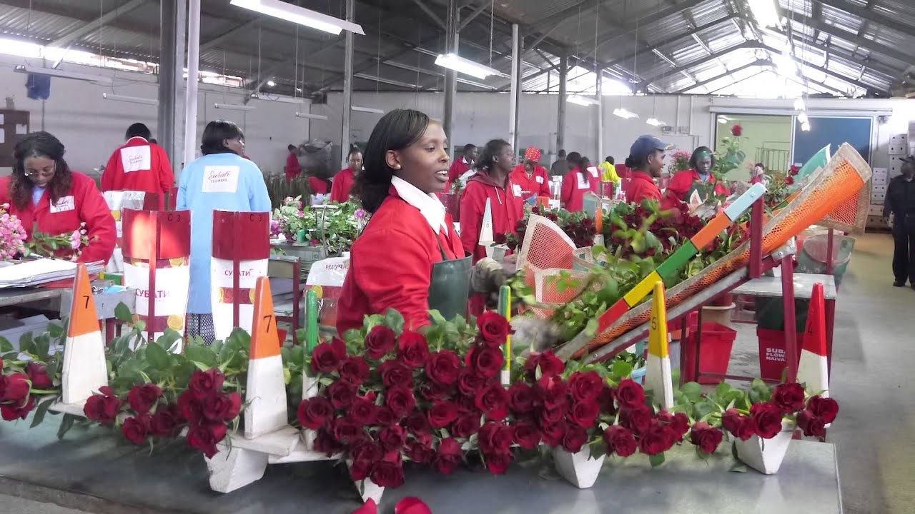 アフリカの花屋』全国キャラバン！ケニアと日本を笑顔でつなごう！(By