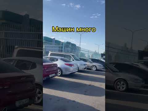 Хоргос машины из Китая #елантра #китай #хоргос #2023