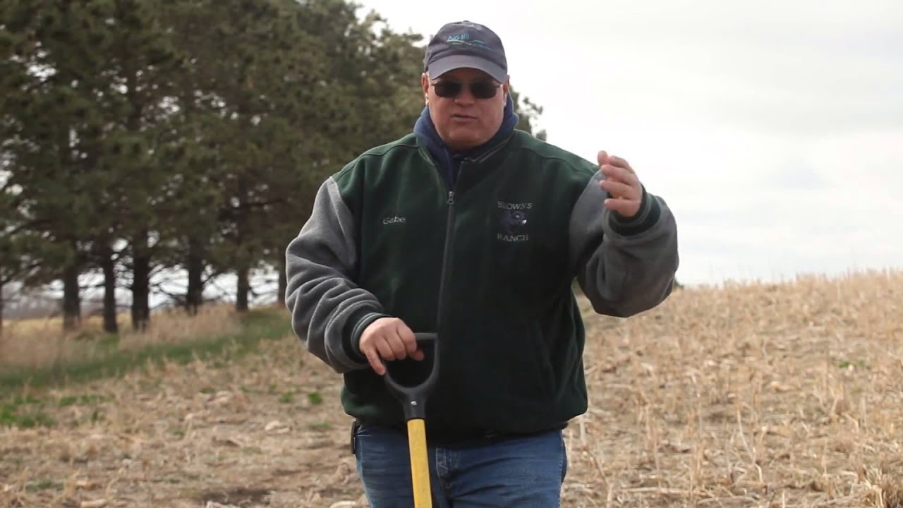 Why Healthy Soil Looks Like Cottage Cheese Video YouTube