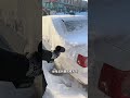 A powerful blower that can blow snow and wash your car. It enough to empty the battery. #viral video