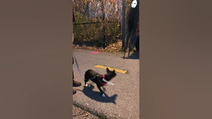 How do dog react to monster  #shorts #halloween #halloweencostume #spiritwalker