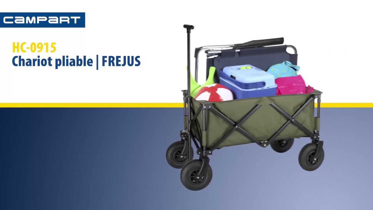 Chariot de courses pliable, 45 L, sac isotherme, capacité de 35 kg
