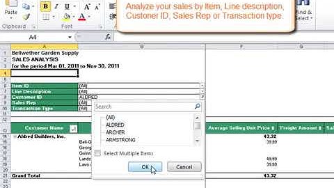 Business Intelligence by Sage Peachtree Tutorial  Sales Report