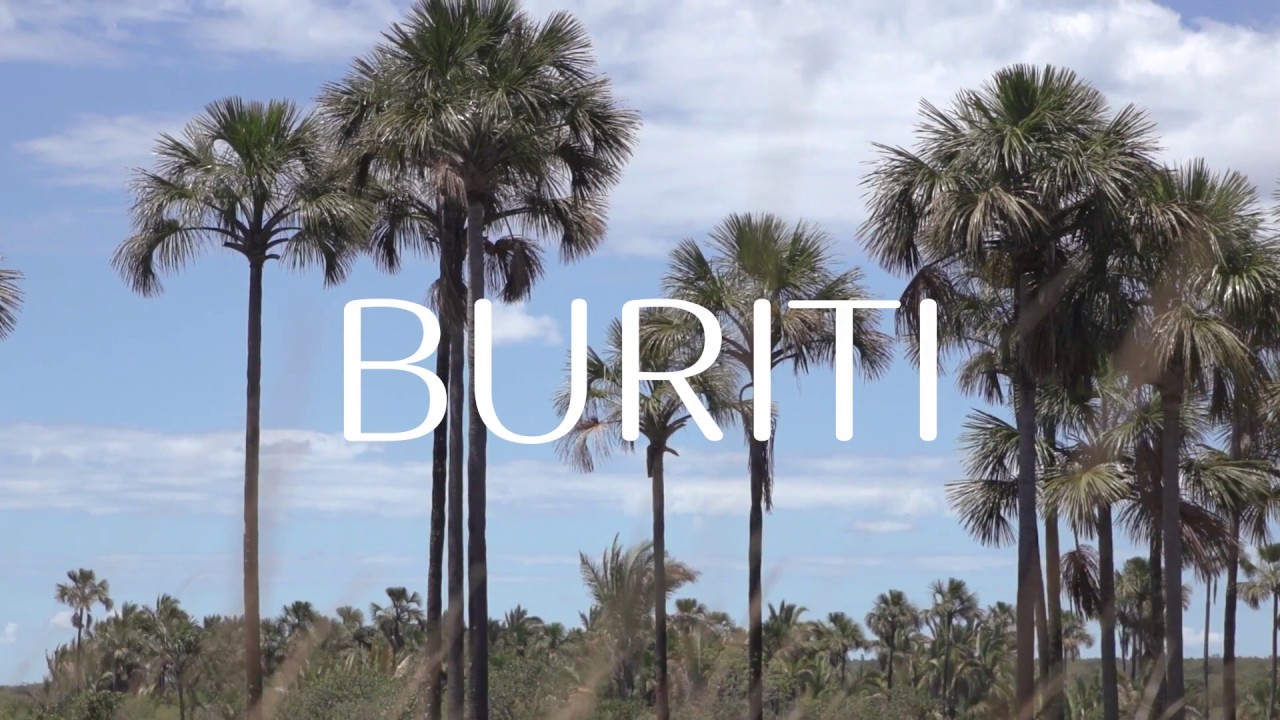 Natura | Ekos | Burití