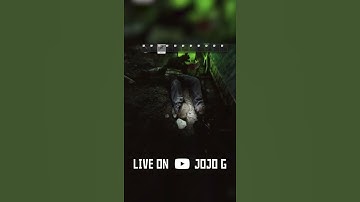 Extract Campers! #escapefromtarkov #shorts #tarkovclips #tarkovclipsdaily #eft #tarkovmovement