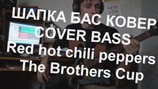 Red hot chili peppers  The Brothers Cup COVER BASS ( play along )