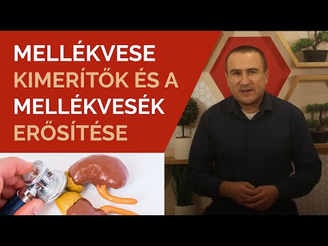 Videó: Megelőzheti a mellékvese a terhességet?