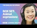 BOX SET: English vocabulary mega-class! Learn 10 English 'animal' expressions in 25 minutes!