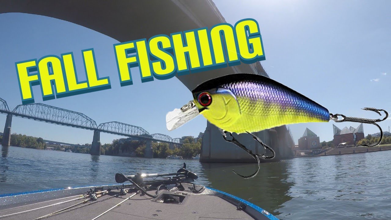 First Day Of Fall Fishing Lake Nickajack!!! YouTube