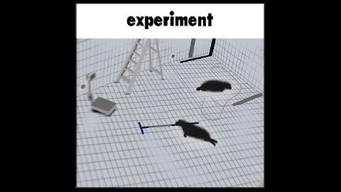 Experiment