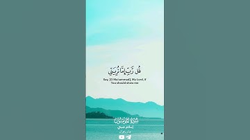 قراءة خاشعة من سورة المؤمنون للقارئ إسلام صبحي #quran #قرآن #اسلام_صبحي