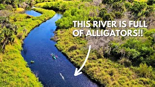 Spring kayaking on Florida's Myakka River  Lightweight Pakayak test!