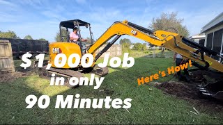 Bamboo Removal with the Cat 305 Excavator and Carlton 7015. $1,000 in 90 minutes!! ✅✅✅ by Alex Catalina 1,561 views 1 year ago 9 minutes, 45 seconds