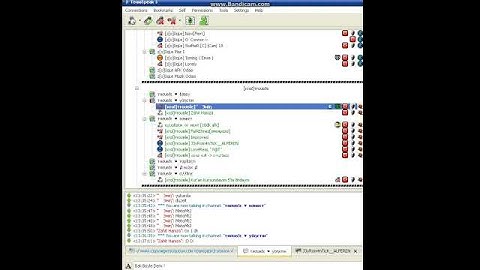 TeamSpeak Microfon Disablet !